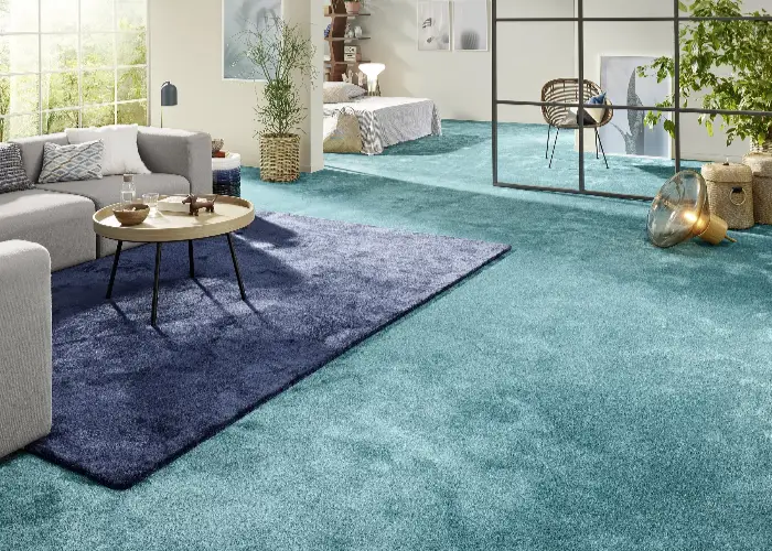 Adorable Livingroom Carpet