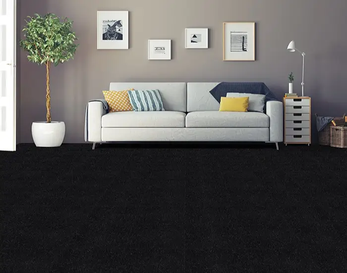 Jet Black Wall to Wall Carpets UAE